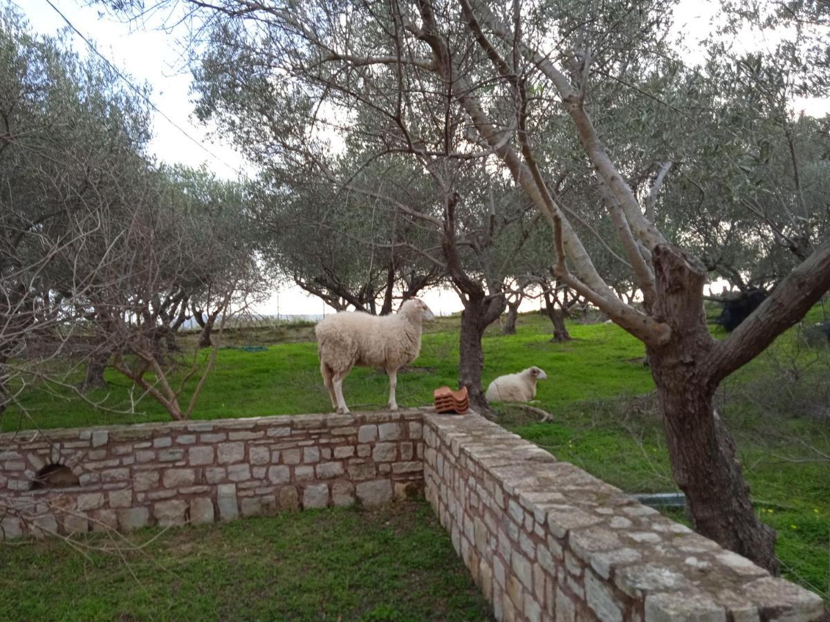 Ktima Tzamika Episkopi-Chania Exterior foto