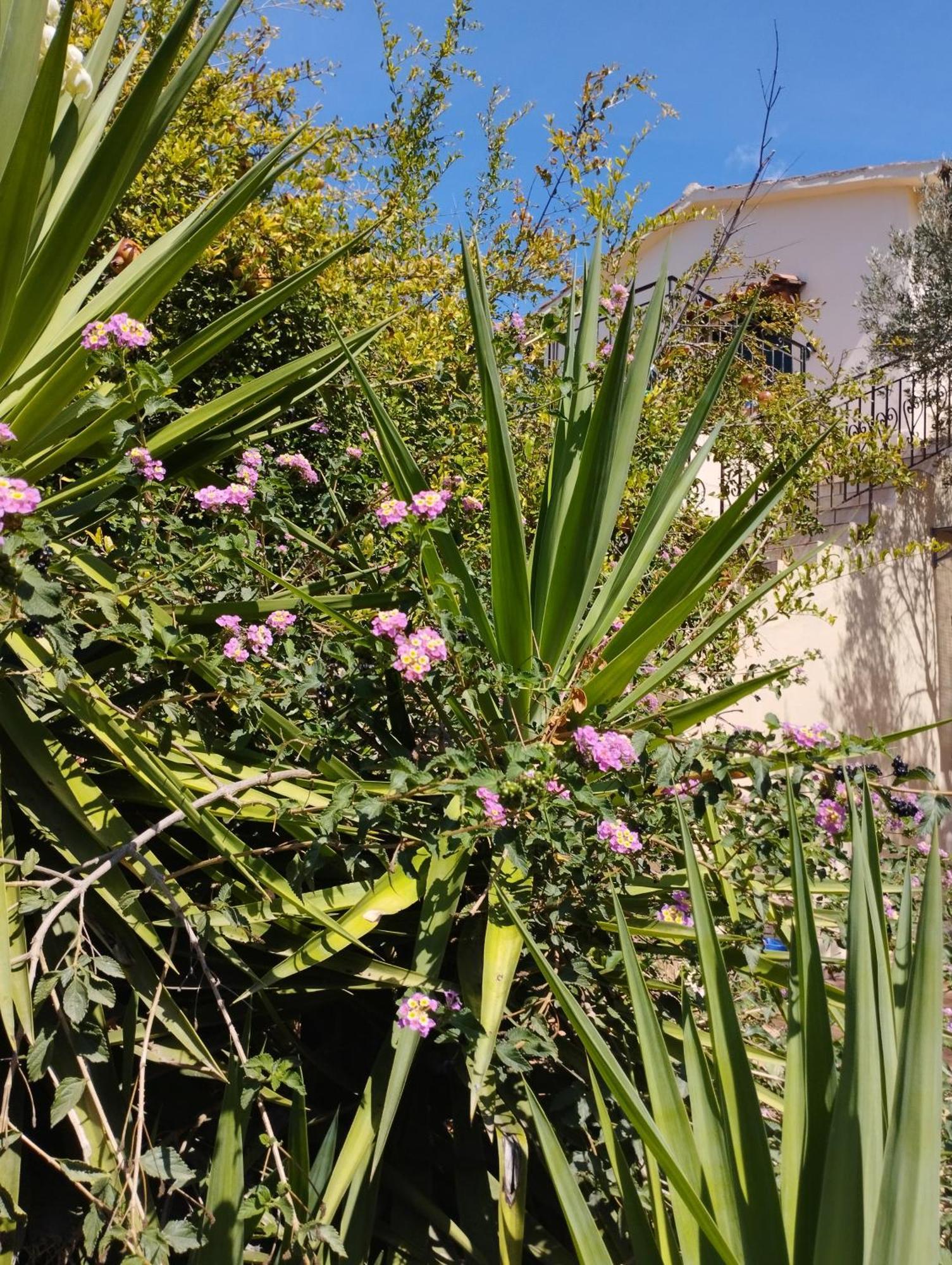Ktima Tzamika Episkopi-Chania Exterior foto