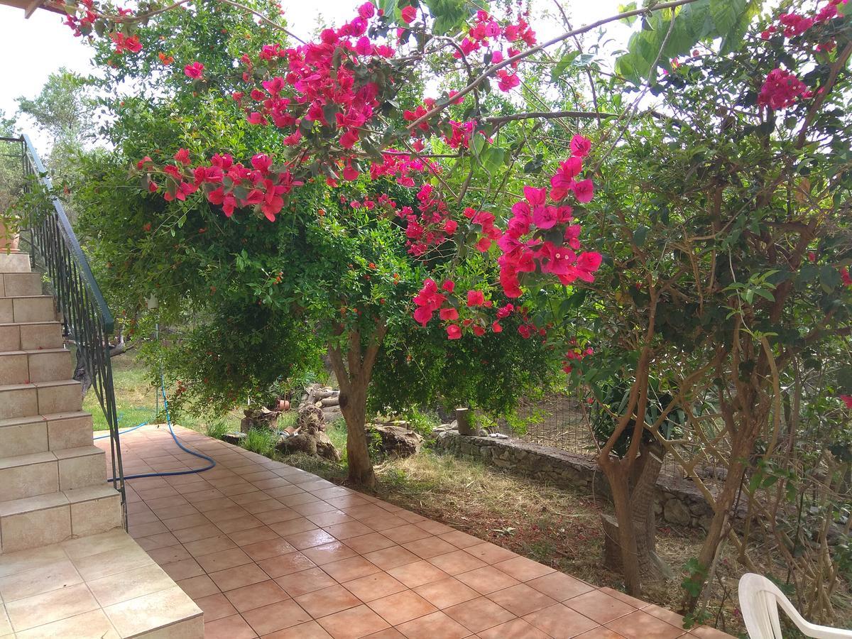 Ktima Tzamika Episkopi-Chania Exterior foto