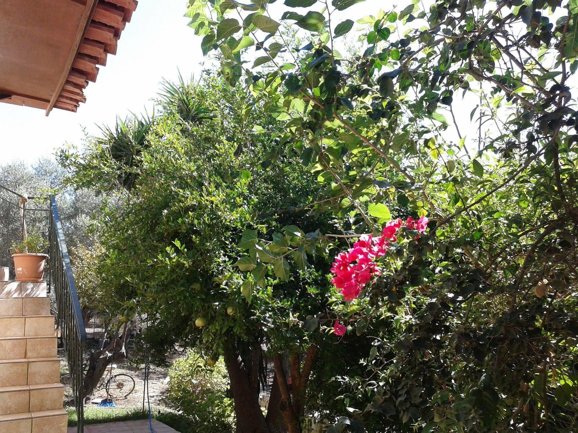 Ktima Tzamika Episkopi-Chania Exterior foto